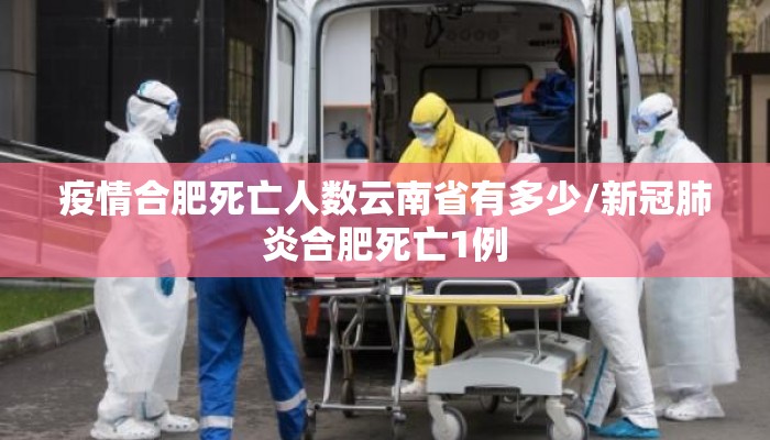 疫情合肥死亡人数云南省有多少/新冠肺炎合肥死亡1例 疫情合肥死亡人数云南省有多少/新冠肺炎合肥死亡1例