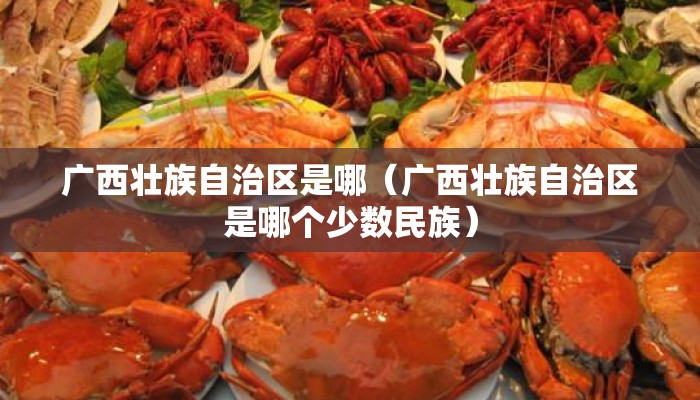 广西壮族自治区是哪（广西壮族自治区是哪个少数民族）