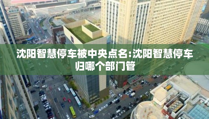 沈阳智慧停车被中央点名:沈阳智慧停车归哪个部门管