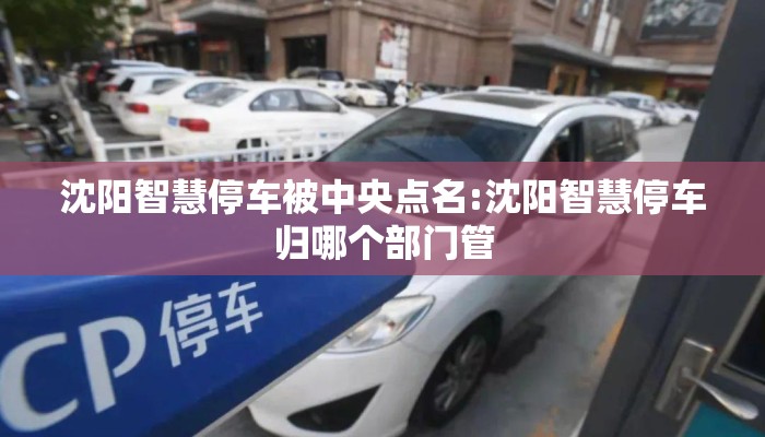 沈阳智慧停车被中央点名:沈阳智慧停车归哪个部门管 沈阳智慧停车被中央点名:沈阳智慧停车归哪个部门管