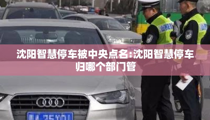 沈阳智慧停车被中央点名:沈阳智慧停车归哪个部门管 沈阳智慧停车被中央点名:沈阳智慧停车归哪个部门管