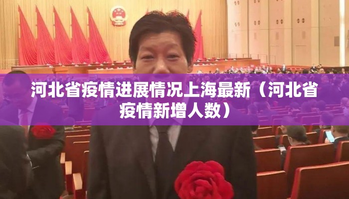 河北省疫情进展情况上海最新（河北省疫情新增人数）