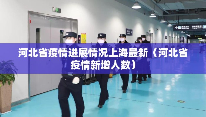 河北省疫情进展情况上海最新（河北省疫情新增人数）