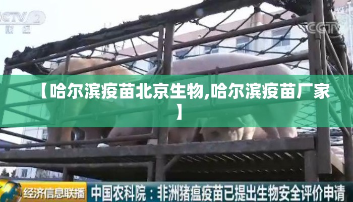 【哈尔滨疫苗北京生物,哈尔滨疫苗厂家】