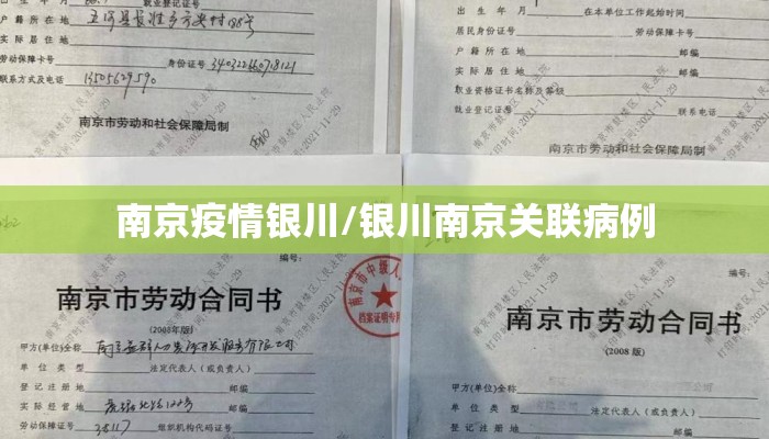 南京疫情银川/银川南京关联病例