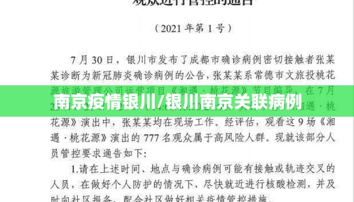 南京疫情银川/银川南京关联病例
