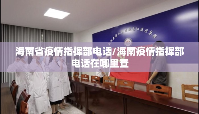 海南省疫情指挥部电话/海南疫情指挥部电话在哪里查