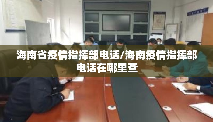 海南省疫情指挥部电话/海南疫情指挥部电话在哪里查