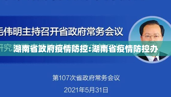 湖南省政府疫情防控:湖南省疫情防控办