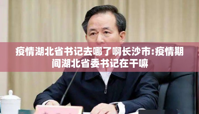疫情湖北省书记去哪了啊长沙市:疫情期间湖北省委书记在干嘛