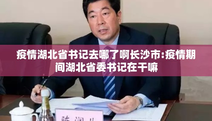 疫情湖北省书记去哪了啊长沙市:疫情期间湖北省委书记在干嘛