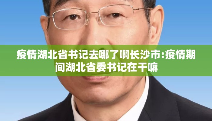 疫情湖北省书记去哪了啊长沙市:疫情期间湖北省委书记在干嘛