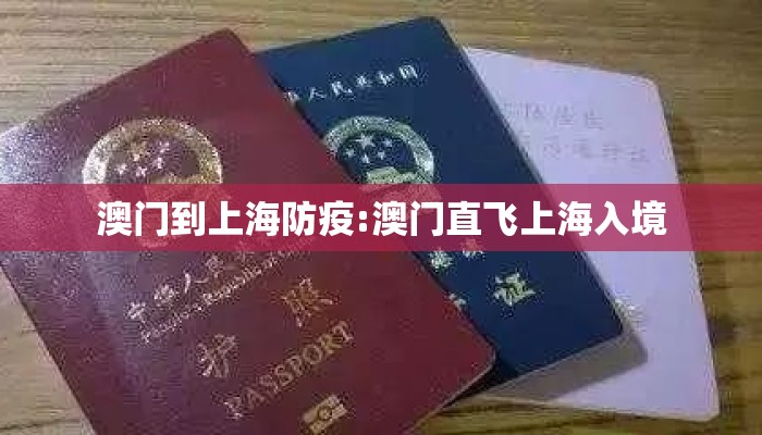 澳门到上海防疫:澳门直飞上海入境