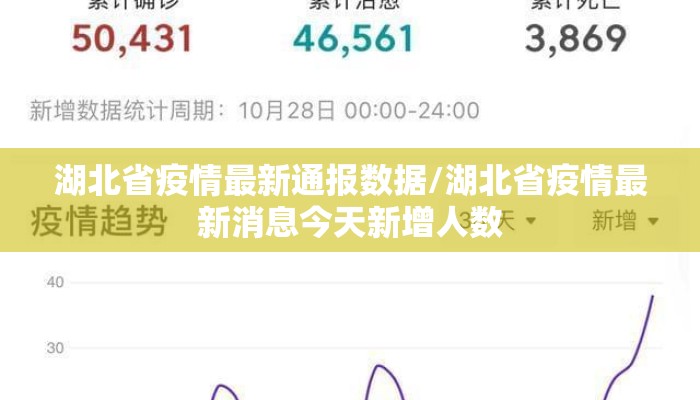 湖北省疫情最新通报数据/湖北省疫情最新消息今天新增人数