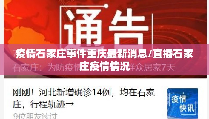 疫情石家庄事件重庆最新消息/直播石家庄疫情情况