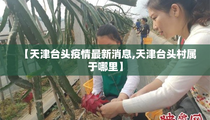 【天津台头疫情最新消息,天津台头村属于哪里】