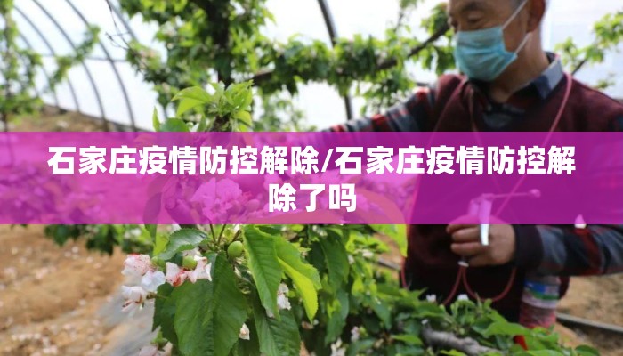 石家庄疫情防控解除/石家庄疫情防控解除了吗