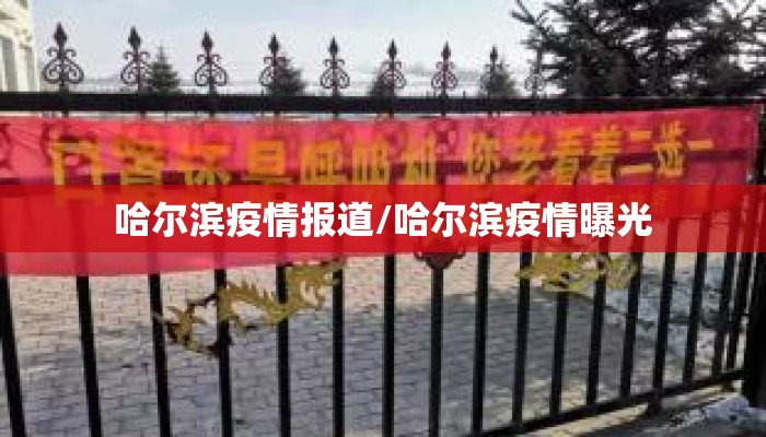 哈尔滨疫情报道/哈尔滨疫情曝光