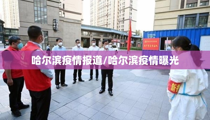 哈尔滨疫情报道/哈尔滨疫情曝光