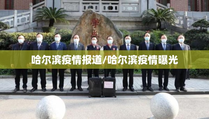 哈尔滨疫情报道/哈尔滨疫情曝光