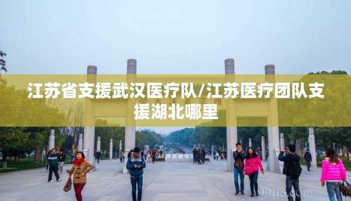 江苏省支援武汉医疗队/江苏医疗团队支援湖北哪里