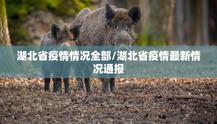 湖北省疫情情况全部/湖北省疫情最新情况通报