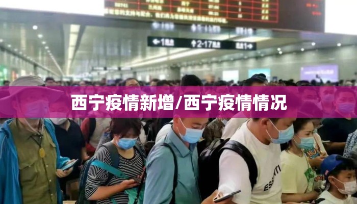 西宁疫情新增/西宁疫情情况 西宁疫情新增/西宁疫情情况