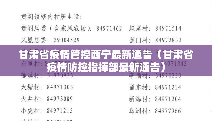 甘肃省疫情管控西宁最新通告(甘肃省疫情防控指挥部最新通告) 甘肃省疫情管控西宁最新通告(甘肃省疫情防控指挥部最新通告)