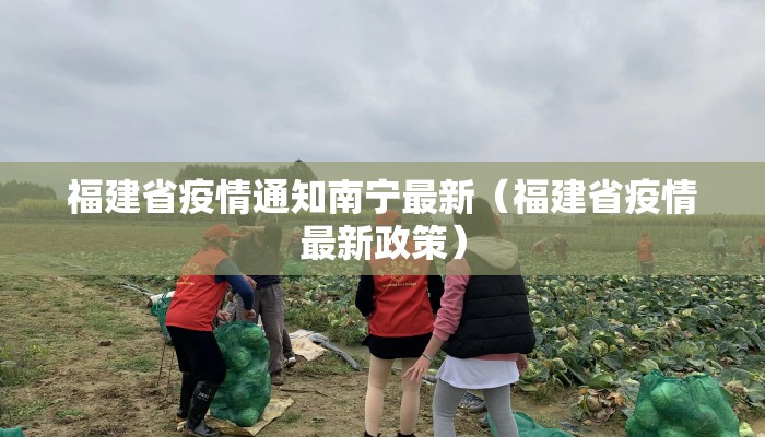 福建省疫情通知南宁最新（福建省疫情最新政策）