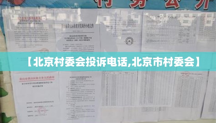 【北京村委会投诉电话,北京市村委会】