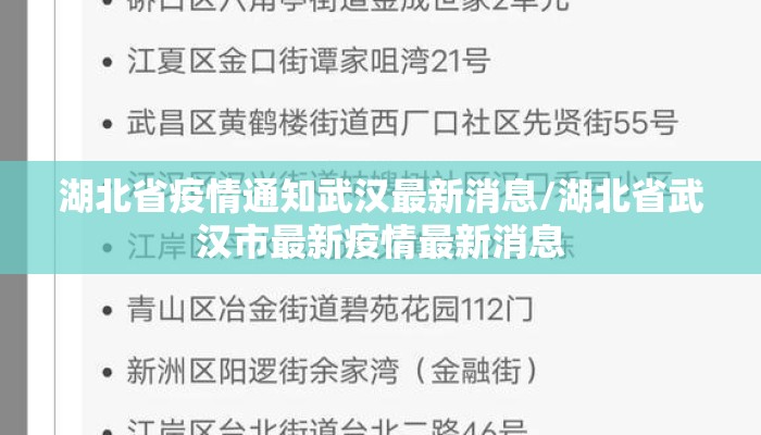 湖北省疫情通知武汉最新消息/湖北省武汉市最新疫情最新消息