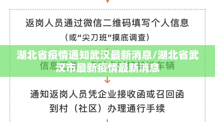 湖北省疫情通知武汉最新消息/湖北省武汉市最新疫情最新消息 湖北省疫情通知武汉最新消息/湖北省武汉市最新疫情最新消息