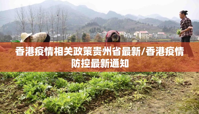 香港疫情相关政策贵州省最新/香港疫情防控最新通知