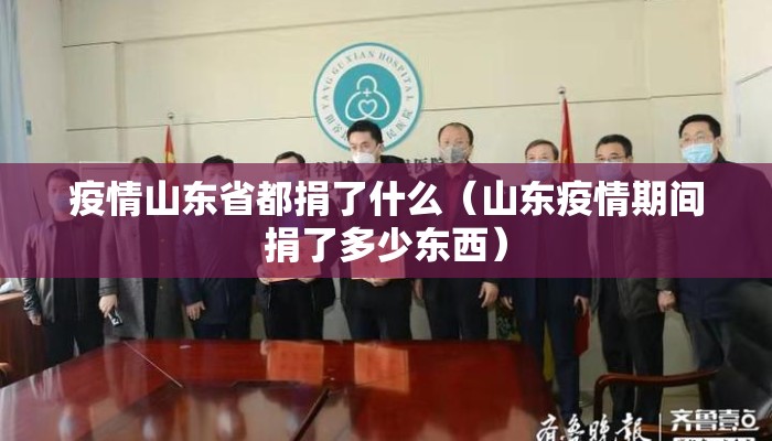 疫情山东省都捐了什么（山东疫情期间捐了多少东西）