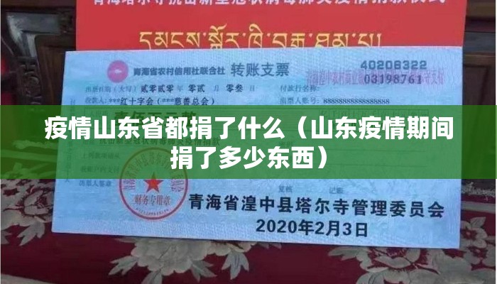 疫情山东省都捐了什么（山东疫情期间捐了多少东西）