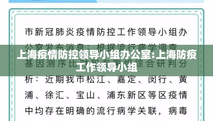 上海疫情防控领导小组办公室:上海防疫工作领导小组