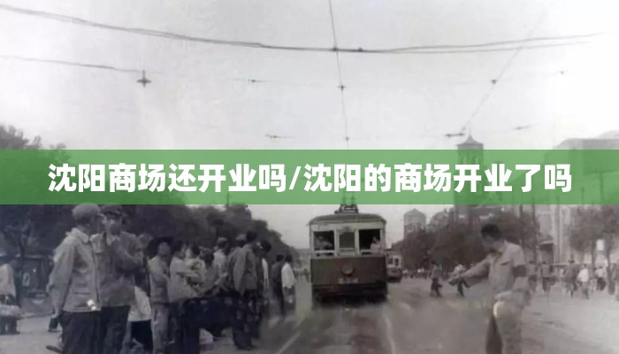 沈阳商场还开业吗/沈阳的商场开业了吗