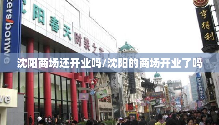 沈阳商场还开业吗/沈阳的商场开业了吗