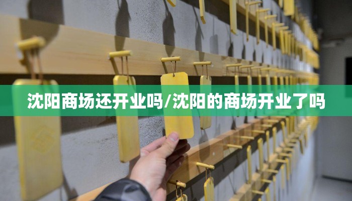 沈阳商场还开业吗/沈阳的商场开业了吗