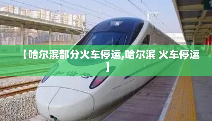 【哈尔滨部分火车停运,哈尔滨 火车停运】