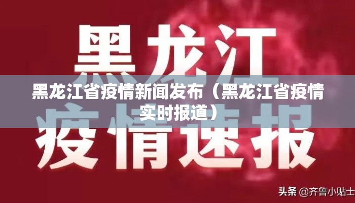 黑龙江省疫情新闻发布（黑龙江省疫情实时报道）
