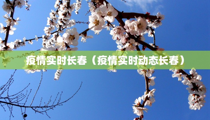 疫情实时长春（疫情实时动态长春）