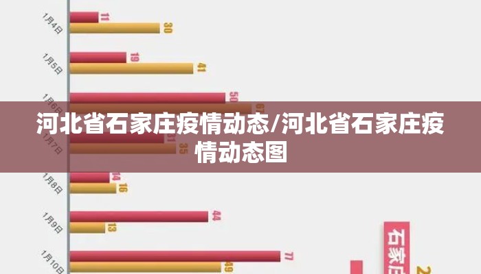 河北省石家庄疫情动态/河北省石家庄疫情动态图