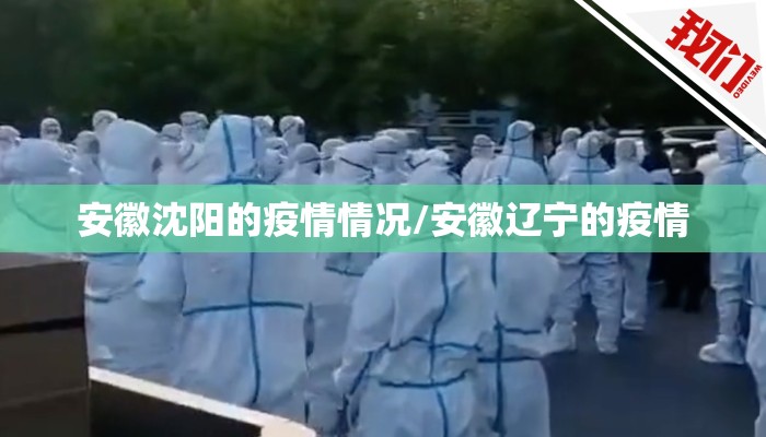 安徽沈阳的疫情情况/安徽辽宁的疫情