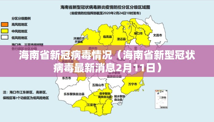海南省新冠病毒情况（海南省新型冠状病毒最新消息2月11日）