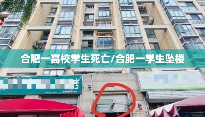 合肥一高校学生死亡/合肥一学生坠楼