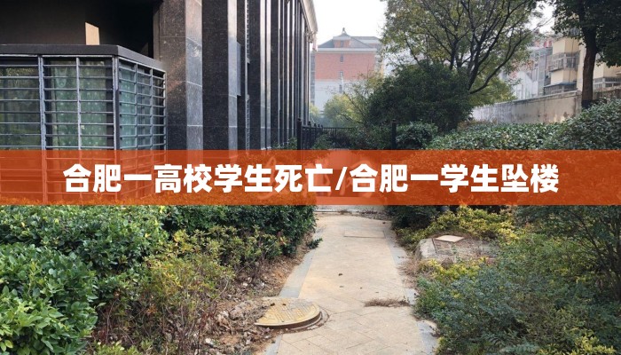 合肥一高校学生死亡/合肥一学生坠楼 合肥一高校学生死亡/合肥一学生坠楼