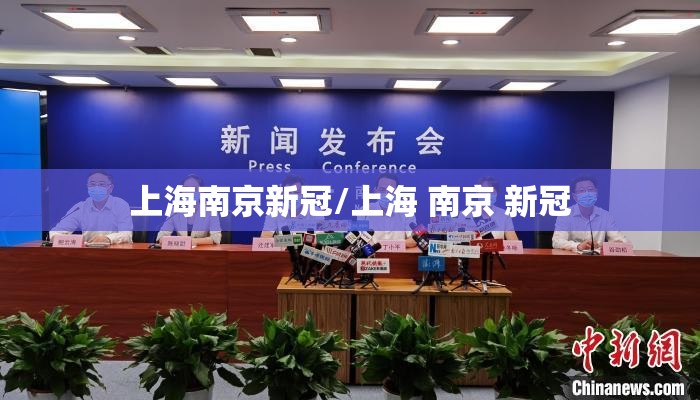 上海南京新冠/上海 南京 新冠