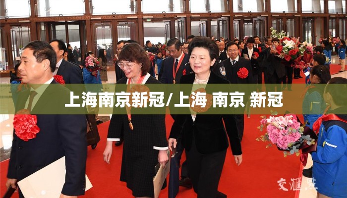 上海南京新冠/上海 南京 新冠