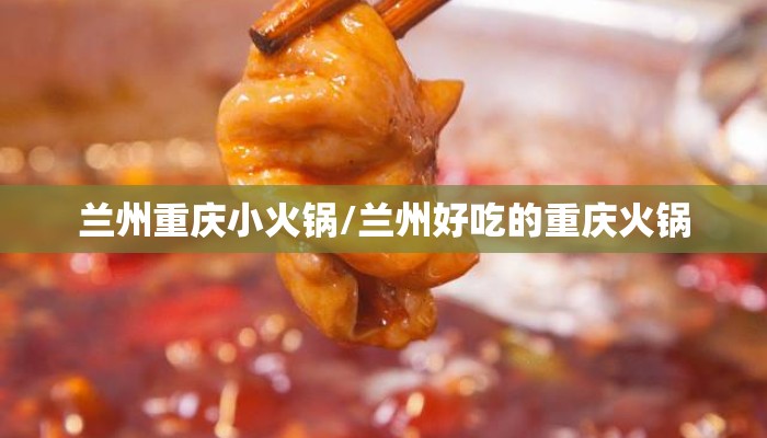 兰州重庆小火锅/兰州好吃的重庆火锅 兰州重庆小火锅/兰州好吃的重庆火锅